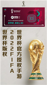 FIFA足球世界